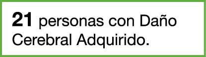 21 personas con Da o Cerebral Adquirido.