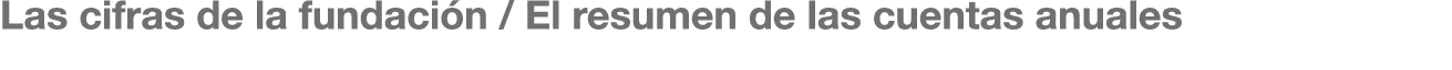 Las cifras de la fundaci n / El resumen de las cuentas anuales