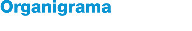 Organigrama 