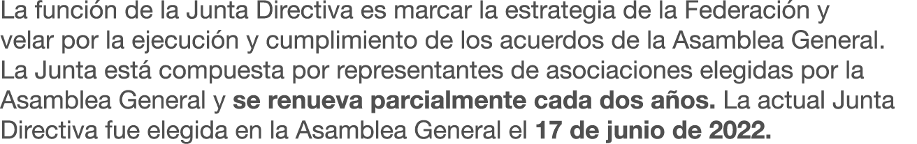 La funci n de la Junta Directiva es marcar la estrategia de la Federaci n y velar por la ejecuci n y cumplimiento de ...