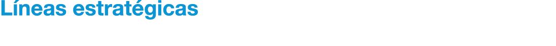 L neas estrat gicas 