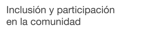 Inclusi n y participaci n en la comunidad