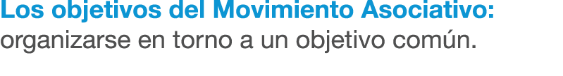 Los objetivos del Movimiento Asociativo: organizarse en torno a un objetivo com n.